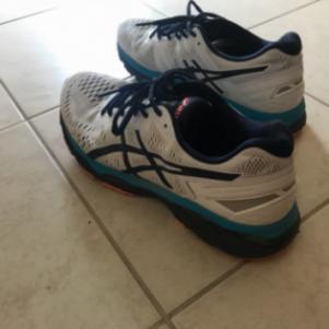 Asics kayano