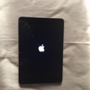 iPad Mini 2