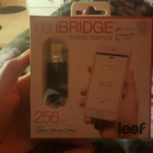 Leef iBridge 256GB