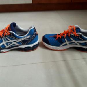 Asics pulse 6